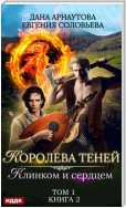 Клинком и сердцем. Том 1