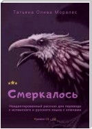 Смеркалось. Неадаптированный рассказ для перевода с испанского и русского языка с ключами. Уровни С1—С2