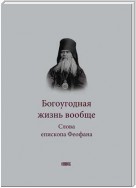 Богоугодная жизнь вообще. Слова епископа Феофана