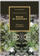 Житиё по понятиям. Бредущая по граблям