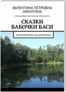 Сказки бабочки Баси. Приключение на каникулах