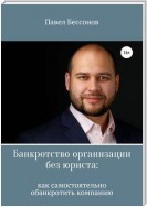 Банкротство организации без юриста: как самостоятельно обанкротить компанию