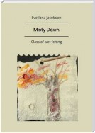 Misty Dawn. Class of wet felting