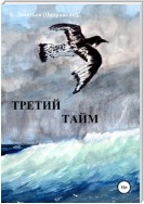 Третий тайм