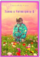 Хикки и Метеохрень – 3