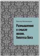 Размышления о смысле жизни. Гипотеза Бога