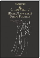 Шёлк лоскутный, или Книга падших