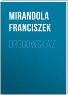 Drogowskaz