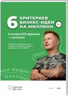 6 критериев бизнес-идеи на миллион и почему 87% франшиз – пустышка