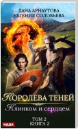 Клинком и сердцем. Том 2