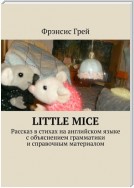 Little mice. Рассказ в стихах на английском языке с объяснением грамматики и справочным материалом