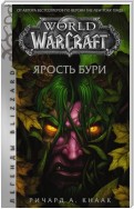 World of Warcraft. Ярость Бури