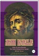 Лилии полевые. Царь из дома Давида. Три года в Священном городе