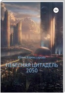 Небесная цитадель – 2050
