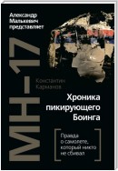 MH-17. Хроника пикирующего Боинга. Правда о самолете, который никто не сбивал