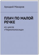 Плач по малой речке. Из цикла «Черезполосица»