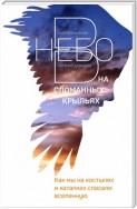 В небо на сломанных крыльях. Как мы на костылях и каталках спасали Вселенную