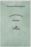 Тринадцать поэтов. Портреты и публикации