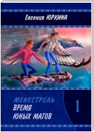 Время юных магов. Менестрель. Книга 1