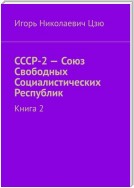 СССР-2 – Союз Свободных Социалистических Республик. Книга 2