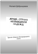 Армия. Страна несбывшихся надежд. Третий сборник Богородицкого поэта