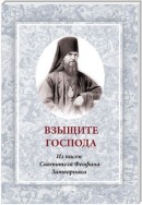 Взыщите Господа. Из писем Святителя Феофана Затворника