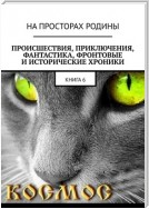 Происшествия, приключения, фантастика, фронтовые и исторические хроники. Книга 6