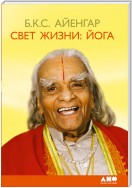 Свет жизни. йога. Путешествие к цельности, внутреннему спокойствию и наивысшей свободе