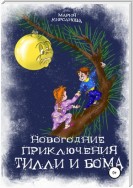 Новогодние приключения Тилли и Бома. Тайна ёлочных игрушек