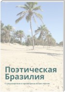 Поэтическая Бразилия. Стихотворения и проза бразильских поэтов