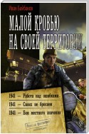 Малой кровью на своей территории: 1941 – Работа над ошибками. 1941 – Своих не бросаем. 1941 – Бои местного значения