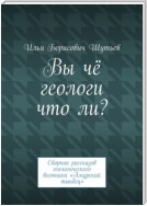 Вы чё геологи что ли? Сборник рассказов геологического вестника «Амурский тындец»