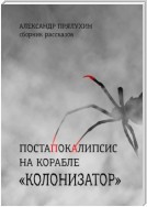 Постапокалипсис на корабле «Колонизатор». Сборник рассказов