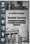 Василий Гроссман. Литературная биография в историко-политическом контексте