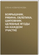 Боярышник, рябина, облепиха, шиповник. Целебные ягоды на каждом участке