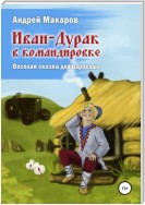 Иван-Дурак в командировке. Веселая сказка для взрослых