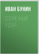 Солнечный удар