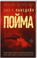 Пойма