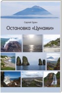 Остановка «Цунами»