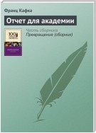 Отчет для академии