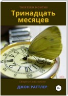 Тринадцать месяцев