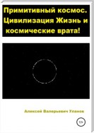 Примитивный космос. Цивилизация Жизнь и космические врата!