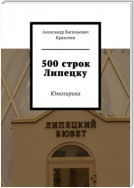 500 строк Липецку. Юмолирика