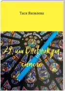 29, или Дневник для слепого