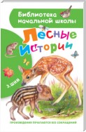 Лесные истории