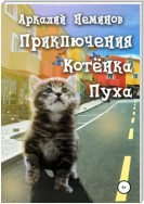 Приключения Котёнка Пуха