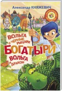 Богатыри. Вольга и чёрные рыцари. Вольга и дракон (сборник)