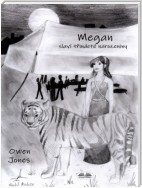 Megan Slaví Třinácté Narozeniny