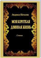 Моя короткая длинная жизнь. Стихи