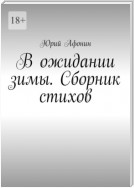 В ожидании зимы. Сборник стихов